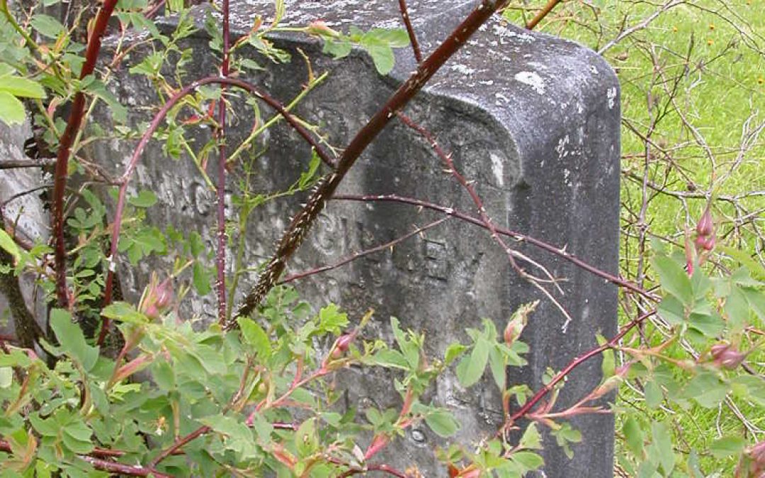 Merrill, Eunice