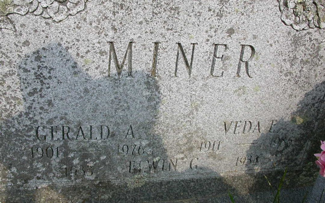 Miner, Veda