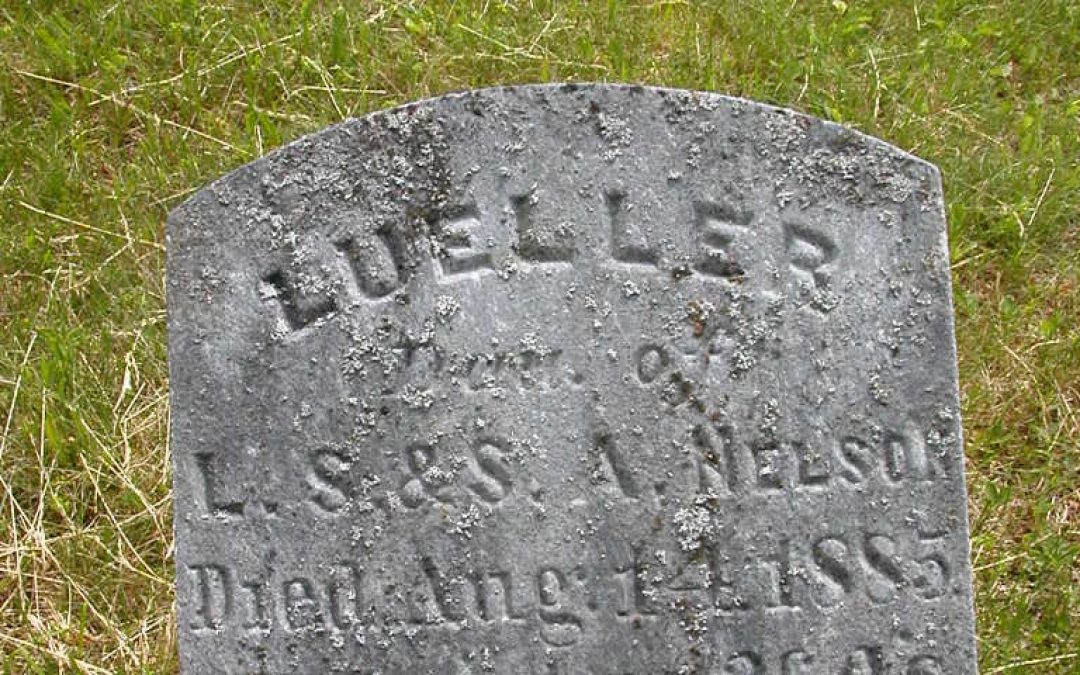 Nelson, Lueller