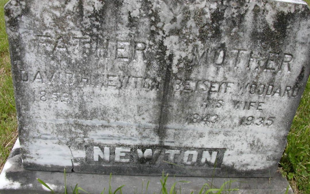 Newton, David