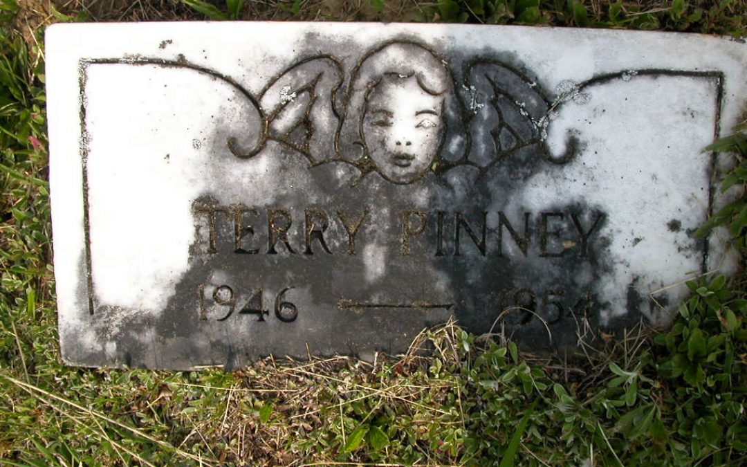 Pinney, Terry