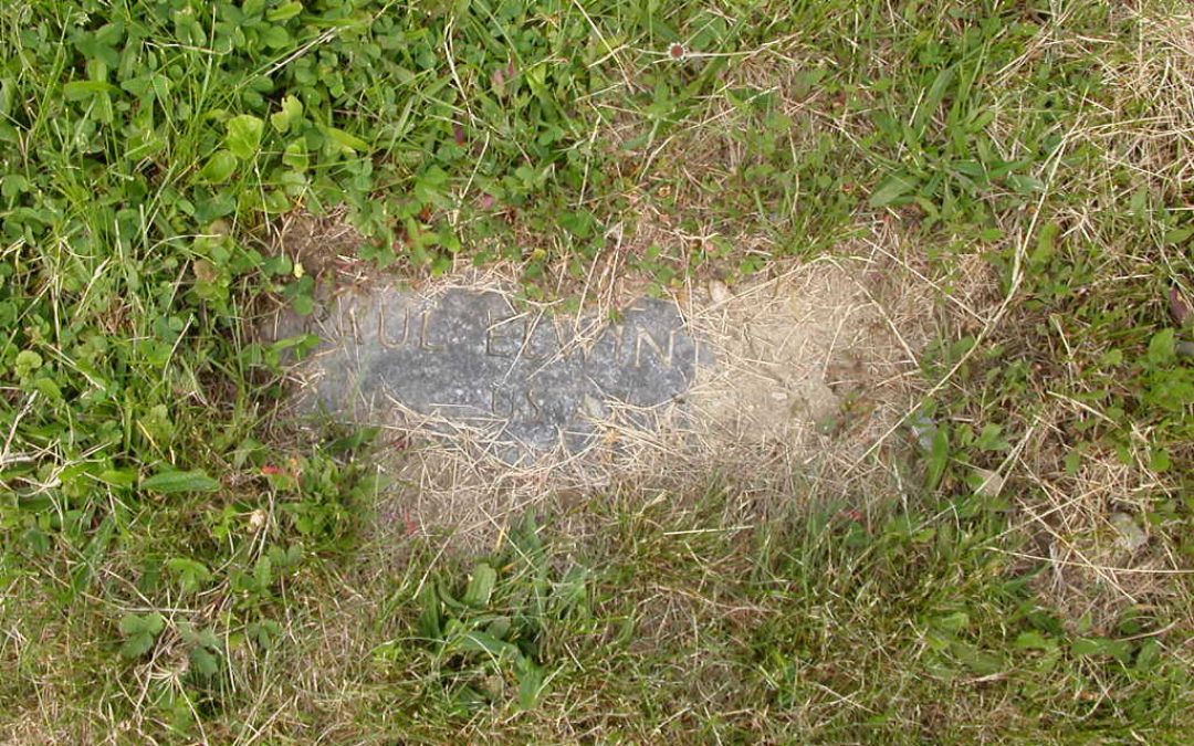 Robinson, Paul