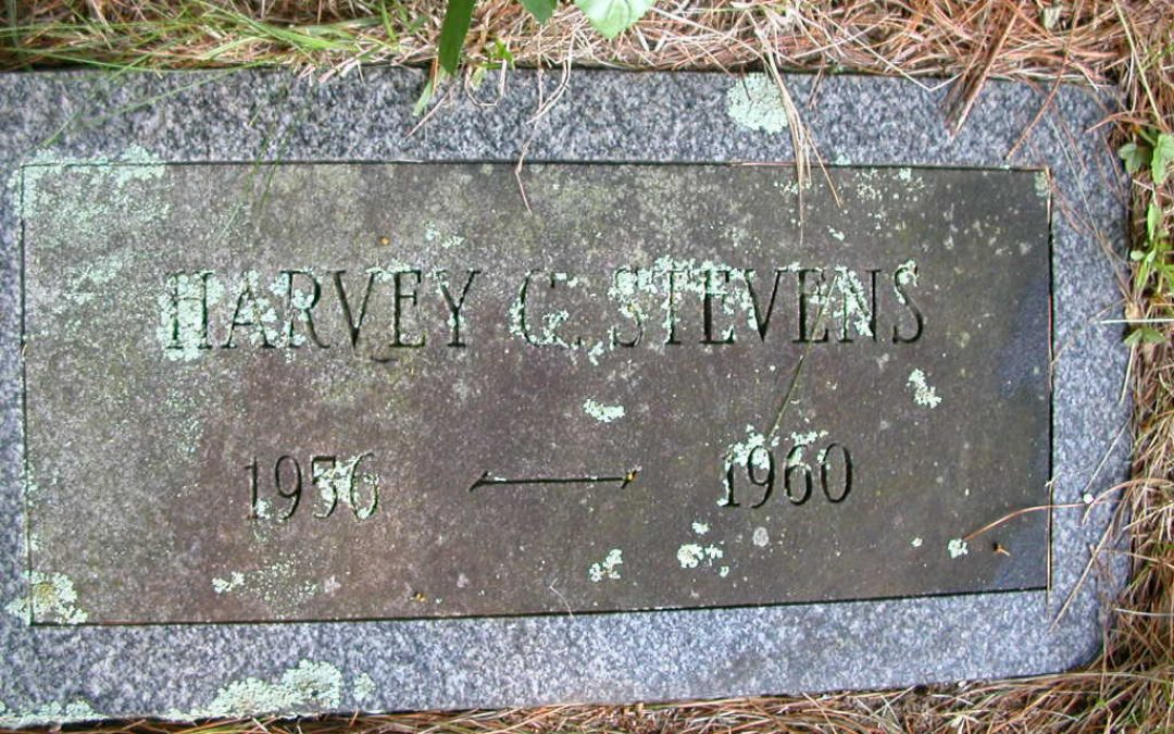 Stevens, Harvey