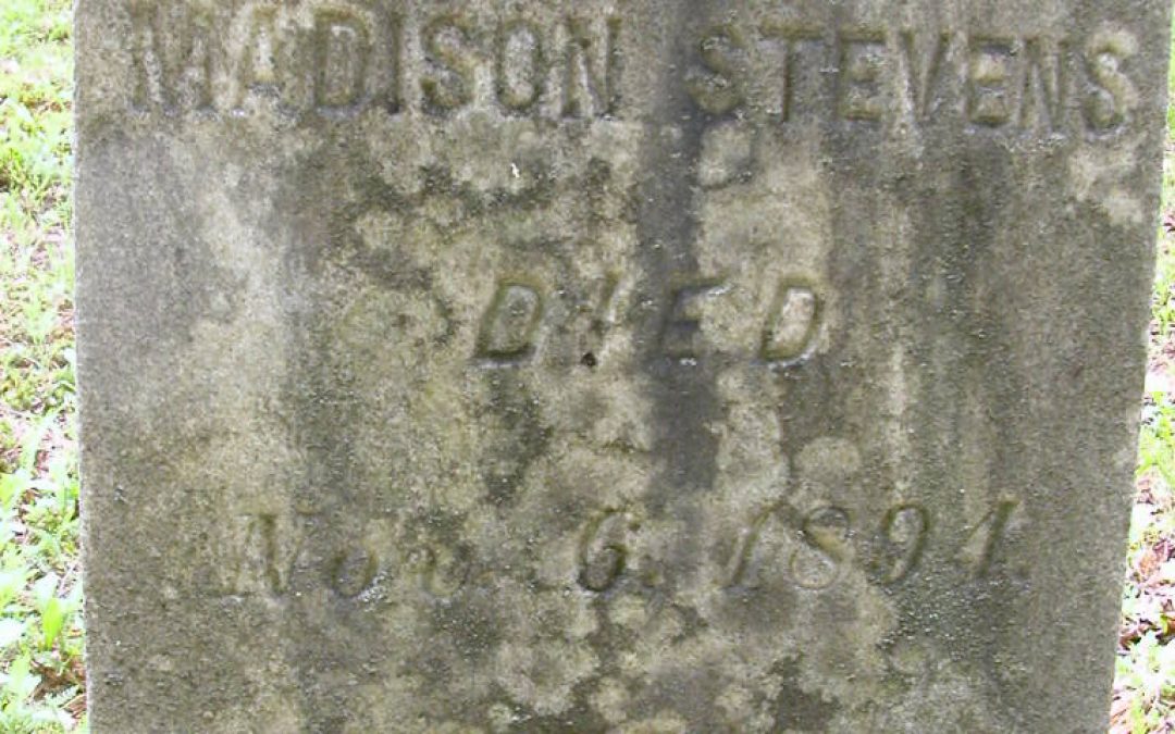 Stevens, Madison