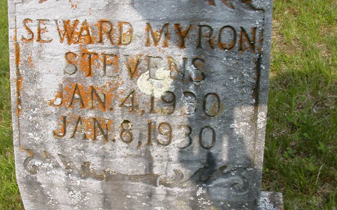 Stevens, Seward
