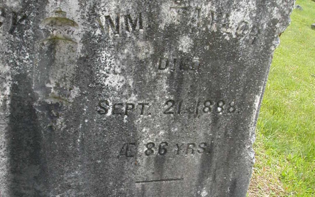 Taylor, William