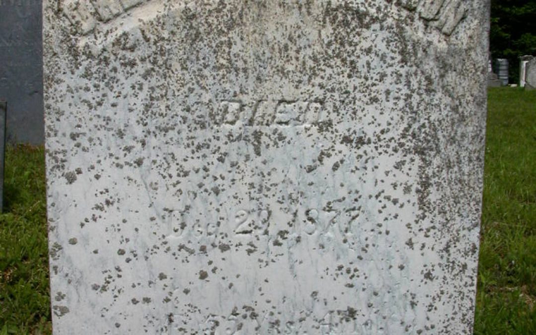 Thompson, Orlando