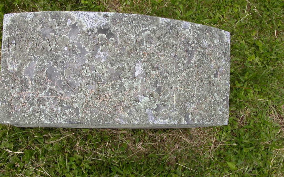 Vaughan, Howard