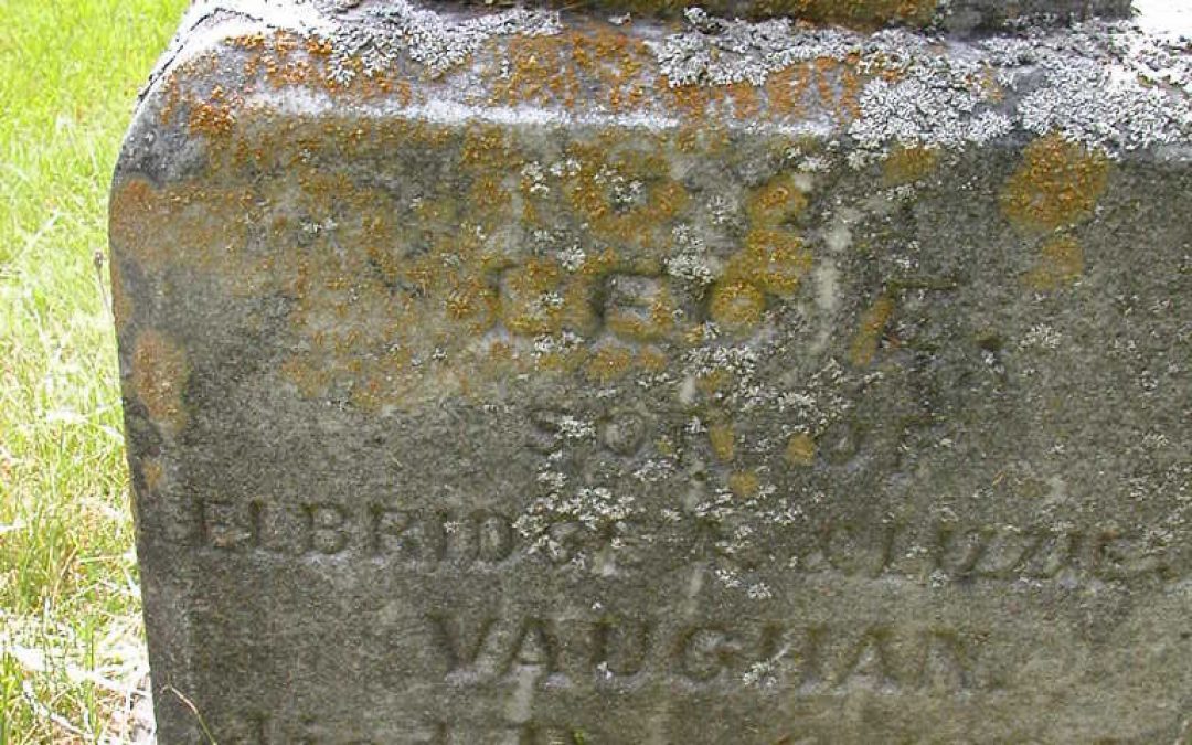 Vaughan, Leo