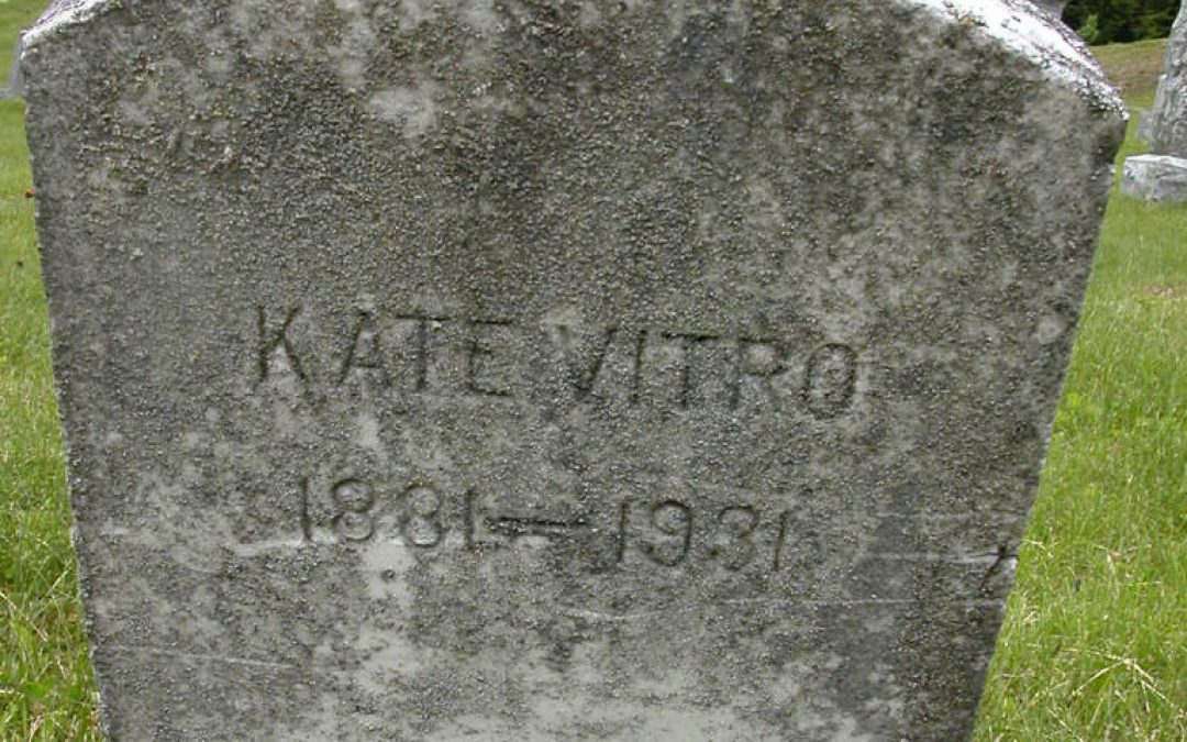 Vitro, Kate
