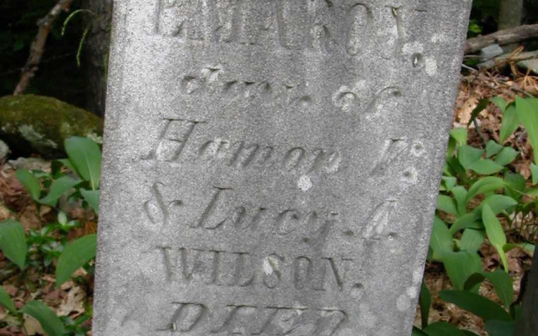 Wilson, Emaroy