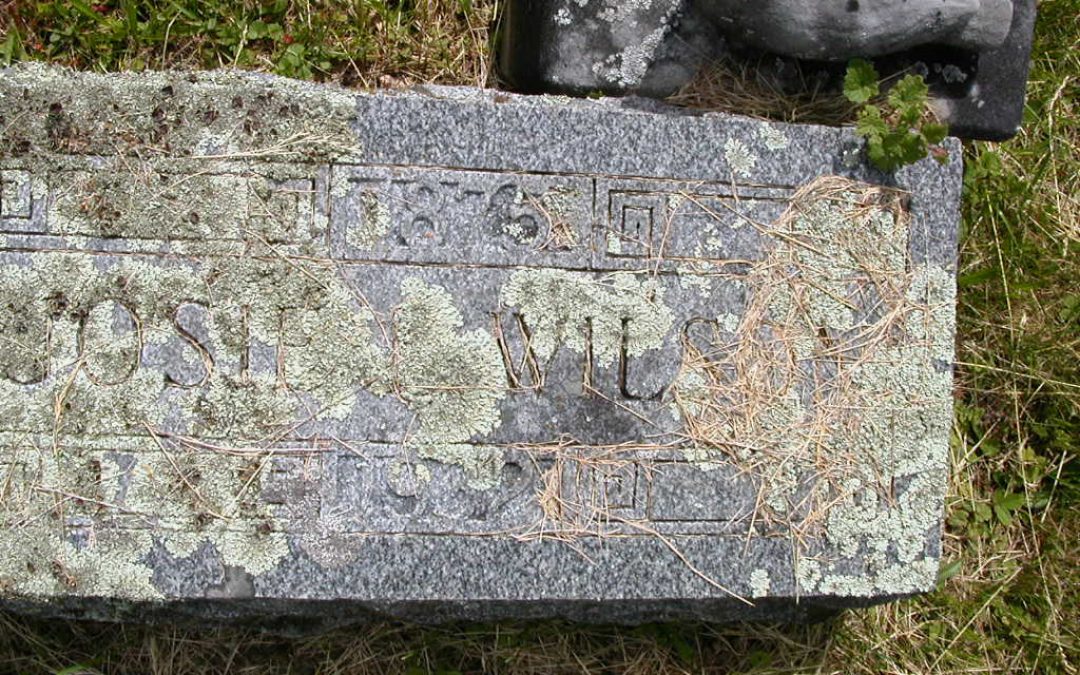 Wilson, Josie