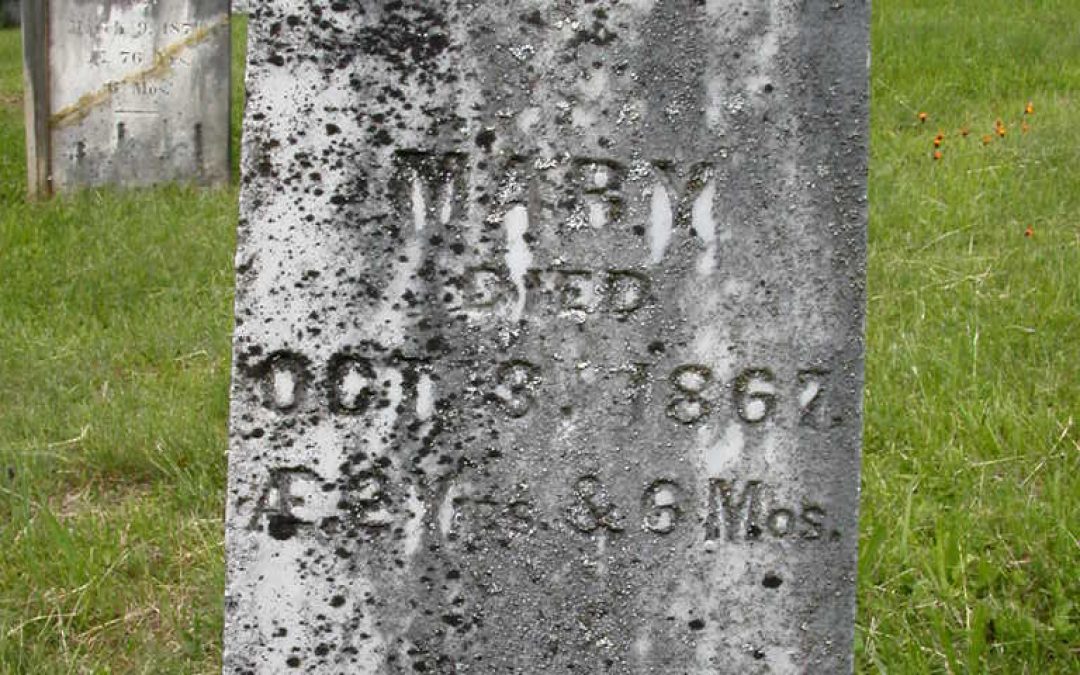 Young, Collamer
