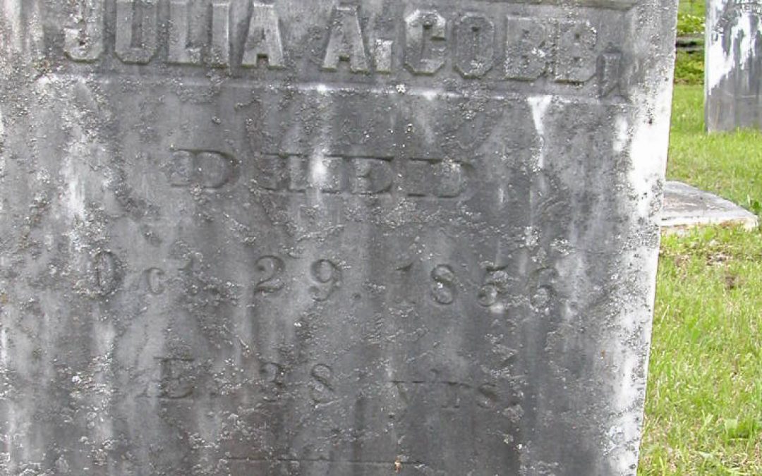 Cobb, Julia