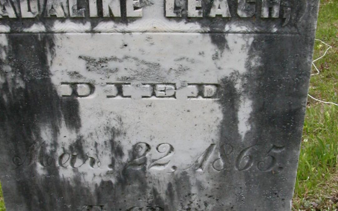 Leach, Adaline