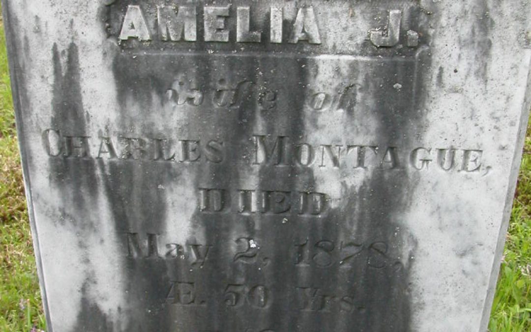 Montague, Amelia