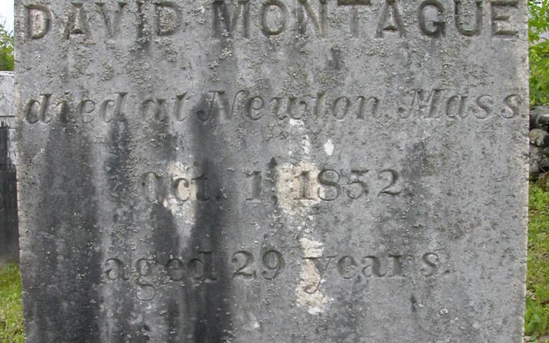 Montague, David 1852