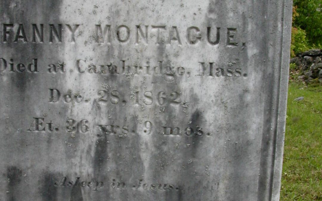 Montague, Fanny