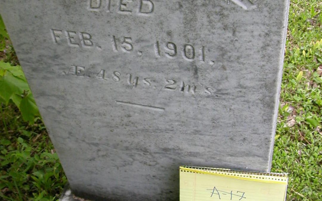 Shaw, E.