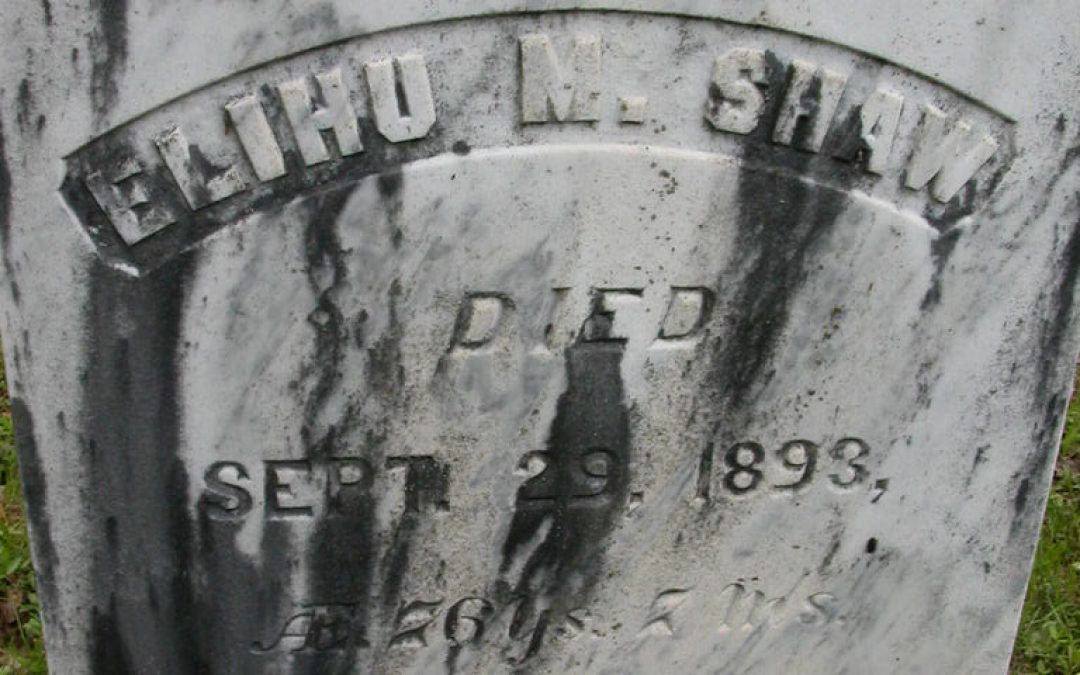 Shaw, Elihu