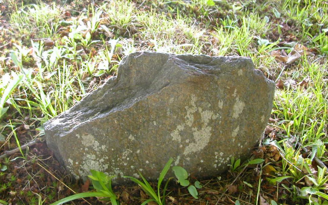 Unknown, Unknown 1