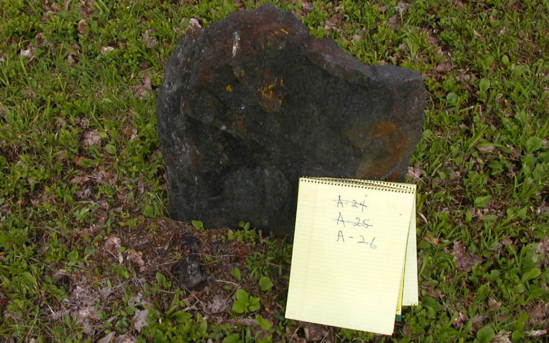 Unknown, Unknown 11