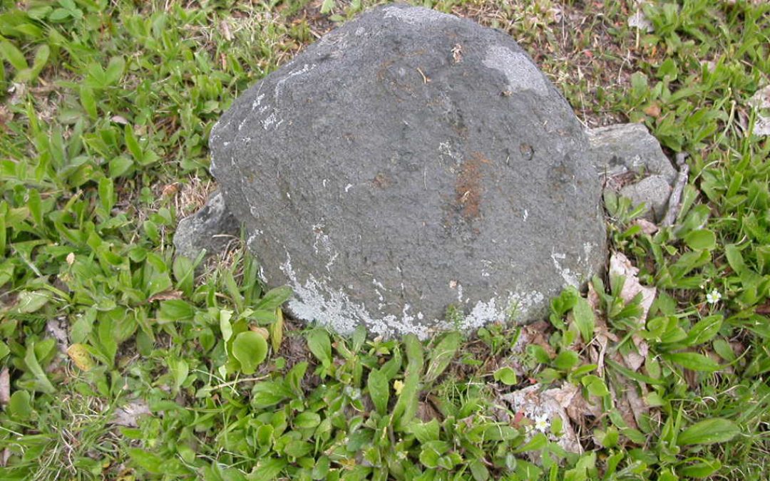 Unknown, Unknown 13