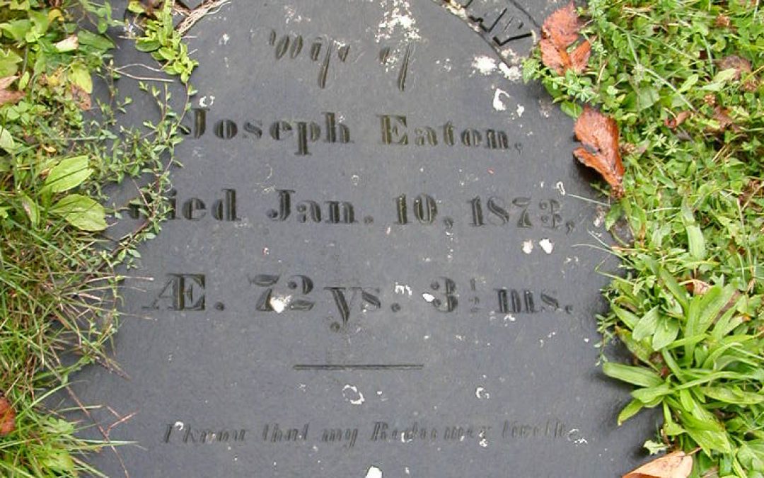Eaton, Elizabeth