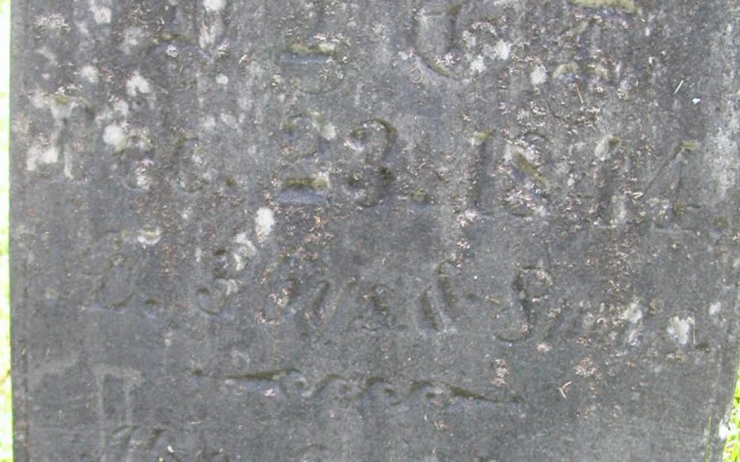 Robinson, Infant 4