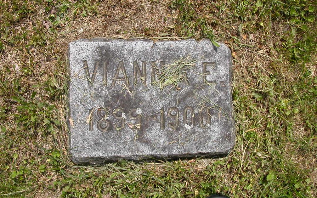 Adams, Vianna