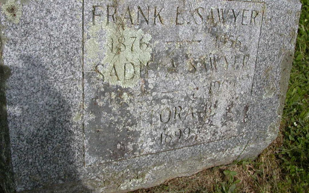 Sawyer, Flora
