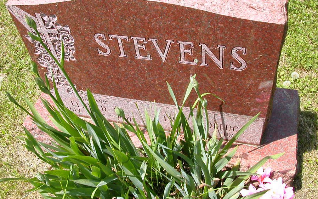 Stevens, Eldred