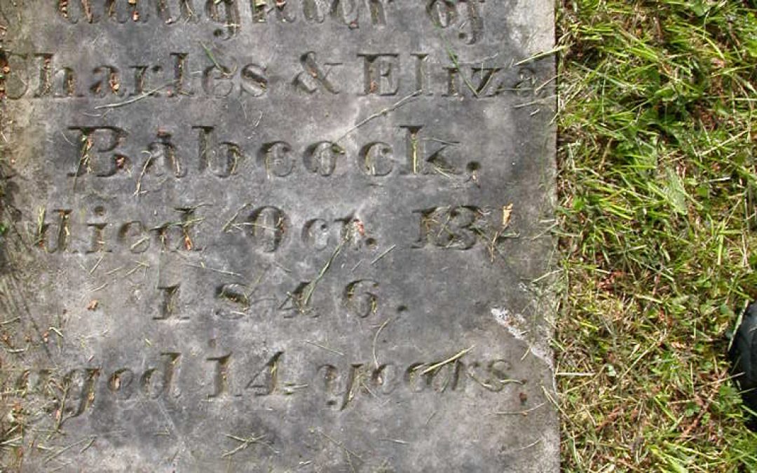 Babcock, Lucia
