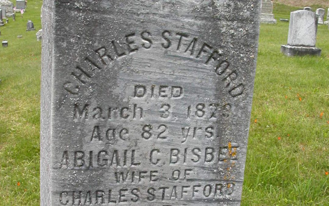 Stafford, Abigail