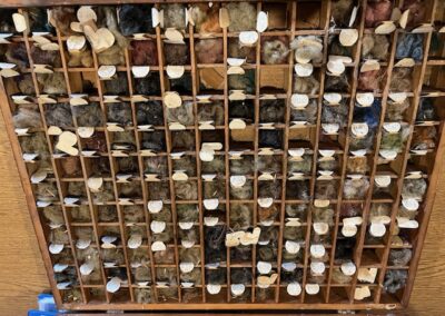 Display case of sample thread from historic mill